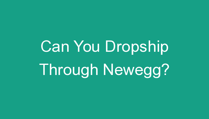 You are currently viewing Can You Dropship Through Newegg?