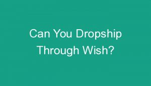 Read more about the article Can You Dropship Through Wish?