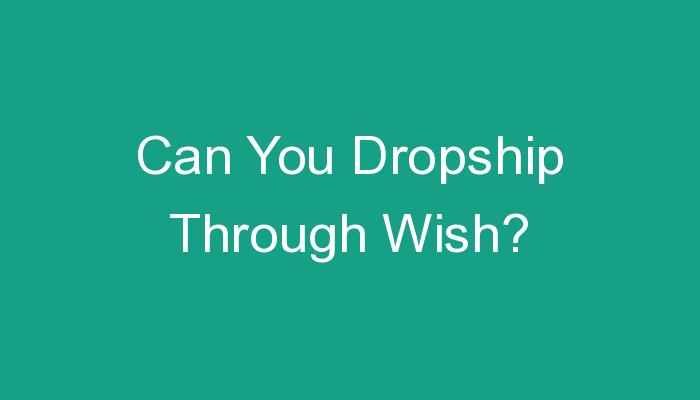 You are currently viewing Can You Dropship Through Wish?