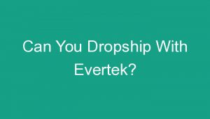 Read more about the article Can You Dropship With Evertek?