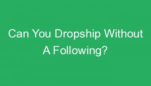Read more about the article Can You Dropship Without A Following?