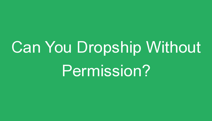 You are currently viewing Can You Dropship Without Permission?