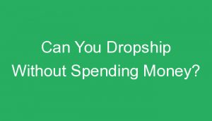 Read more about the article Can You Dropship Without Spending Money?