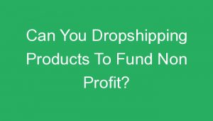 Read more about the article Can You Dropshipping Products To Fund Non Profit?
