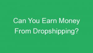 Read more about the article Can You Earn Money From Dropshipping?