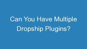 Read more about the article Can You Have Multiple Dropship Plugins?