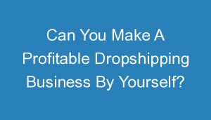 Read more about the article Can You Make A Profitable Dropshipping Business By Yourself?