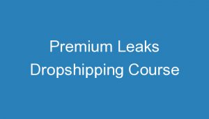 Read more about the article Premium Leaks Dropshipping Course