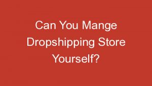Read more about the article Can You Mange Dropshipping Store Yourself?
