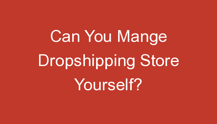 You are currently viewing Can You Mange Dropshipping Store Yourself?