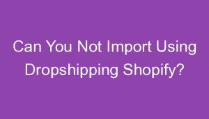 Read more about the article Can You Not Import Using Dropshipping Shopify?
