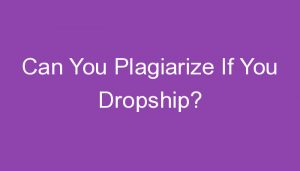 Read more about the article Can You Plagiarize If You Dropship?