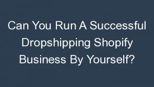 Read more about the article Can You Run A Successful Dropshipping Shopify Business By Yourself?