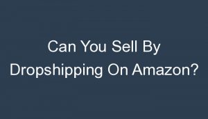 Read more about the article Can You Sell By Dropshipping On Amazon?