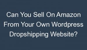 Read more about the article Can You Sell On Amazon From Your Own WordPress Dropshipping Website?