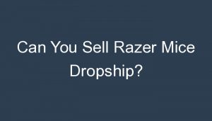 Read more about the article Can You Sell Razer Mice Dropship?
