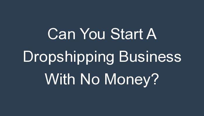 You are currently viewing Can You Start A Dropshipping Business With No Money?