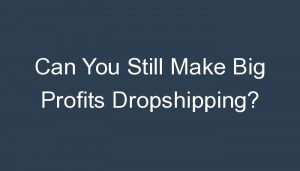 Read more about the article Can You Still Make Big Profits Dropshipping?