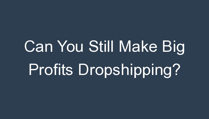 You are currently viewing Can You Still Make Big Profits Dropshipping?