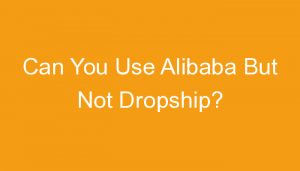 Read more about the article Can You Use Alibaba But Not Dropship?