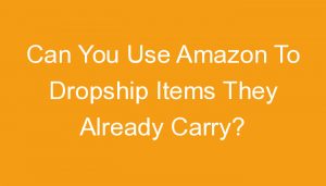 Read more about the article Can You Use Amazon To Dropship Items They Already Carry?