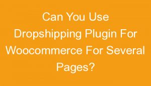Read more about the article Can You Use Dropshipping Plugin For Woocommerce For Several Pages?