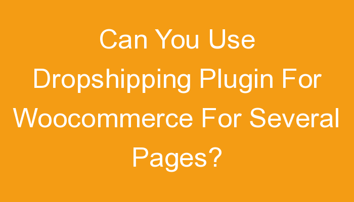 You are currently viewing Can You Use Dropshipping Plugin For Woocommerce For Several Pages?