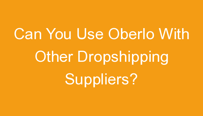 You are currently viewing Can You Use Oberlo With Other Dropshipping Suppliers?