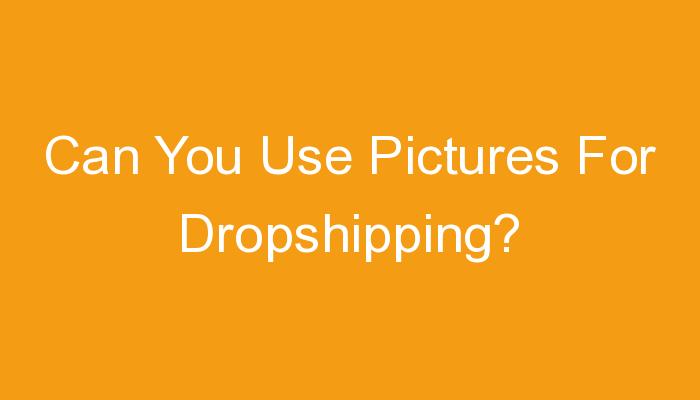 You are currently viewing Can You Use Pictures For Dropshipping?
