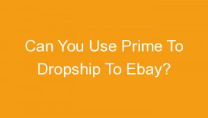 Read more about the article Can You Use Prime To Dropship To Ebay?