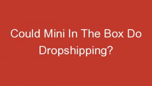 Read more about the article Could Mini In The Box Do Dropshipping?