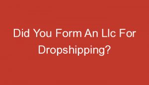 Read more about the article Did You Form An Llc For Dropshipping?
