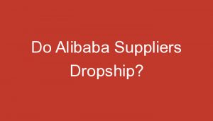 Read more about the article Do Alibaba Suppliers Dropship?