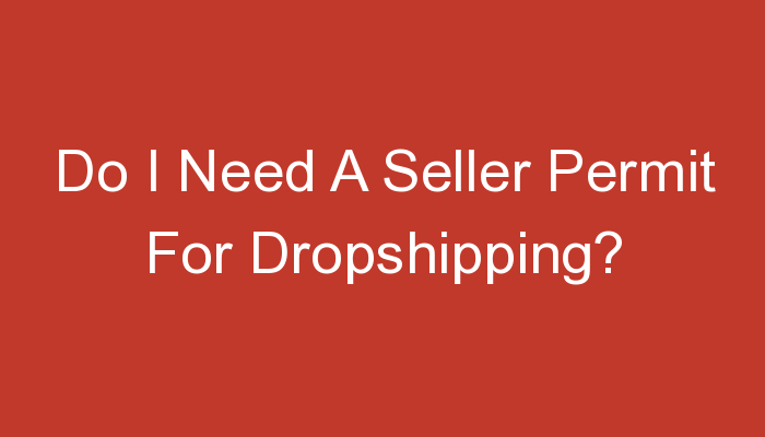 You are currently viewing Do I Need A Seller Permit For Dropshipping?