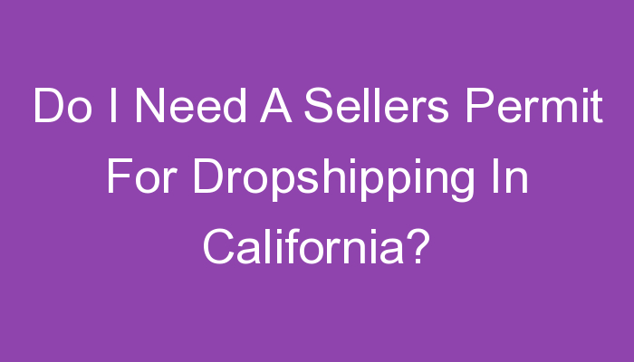 You are currently viewing Do I Need A Sellers Permit For Dropshipping In California?