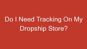Read more about the article Do I Need Tracking On My Dropship Store?