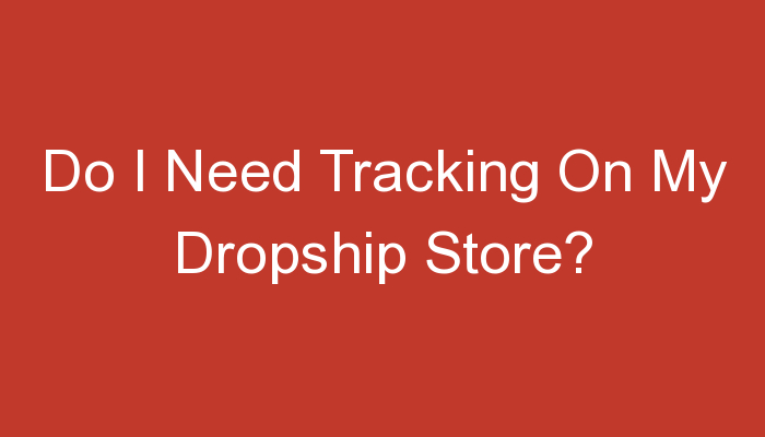You are currently viewing Do I Need Tracking On My Dropship Store?