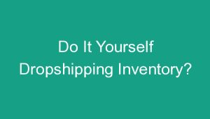 Read more about the article Do It Yourself Dropshipping Inventory?
