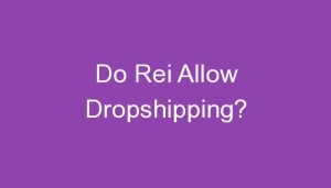 Read more about the article Do Rei Allow Dropshipping?