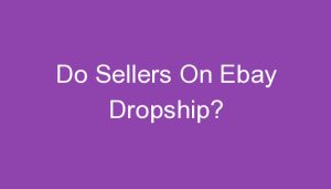 Read more about the article Do Sellers On Ebay Dropship?