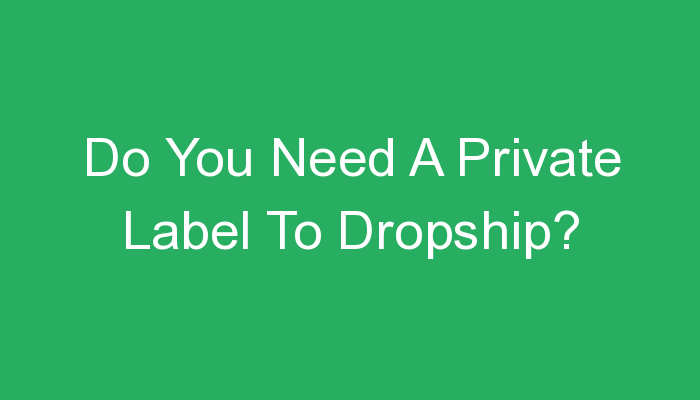 You are currently viewing Do You Need A Private Label To Dropship?