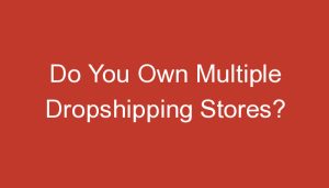 Read more about the article Do You Own Multiple Dropshipping Stores?