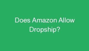 Read more about the article Does Amazon Allow Dropship?