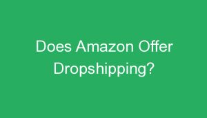 Read more about the article Does Amazon Offer Dropshipping?