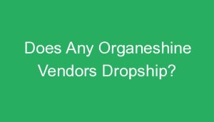 Read more about the article Does Any Organeshine Vendors Dropship?
