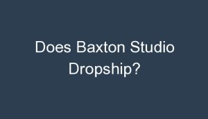 Read more about the article Does Baxton Studio Dropship?