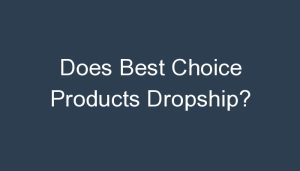Read more about the article Does Best Choice Products Dropship?