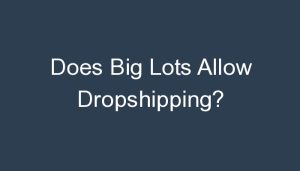 Read more about the article Does Big Lots Allow Dropshipping?