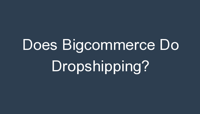 You are currently viewing Does Bigcommerce Do Dropshipping?
