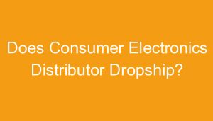 Read more about the article Does Consumer Electronics Distributor Dropship?